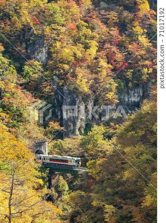 宮城縣秋葉鳴子峽 71017192