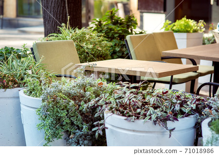 Empty square tables of an outdoor cafe with chairs with soft seats and round concrete flowerpots with flowers in front of the restaurant. Empty square tables of an outdoor cafe with chairs with soft seats and round concrete flowerpots with flowers in front of the restaurant. 71018986