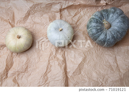 Real fresh gray pumpkin on paper background with fabric drapery. 71019121