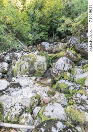 Waterfall of the Frasnee from Jura Mountains Waterfall of the Frasnee from Jura Mountains 71019652