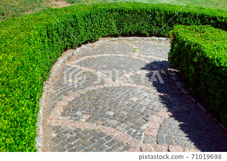 walkway down from a square stone pavement with a stone border with a hedge of boxwood with green leafy bushes on a sunny summer day. walkway down from a square stone pavement with a stone border with a hedge of boxwood with green leafy bushes on a sunny summer day. 71019698