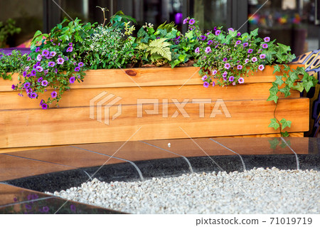 wooden flowerpot with flowers on black marble covered with light gravel. wooden flowerpot with flowers on black marble covered with light gravel. 71019719