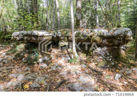 The karstic trail of Malrochers from Jura, France 71019868