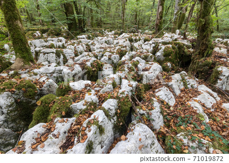 The karstic trail of Malrochers from Jura, France 71019872