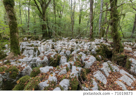 The karstic trail of Malrochers from Jura, France 71019873