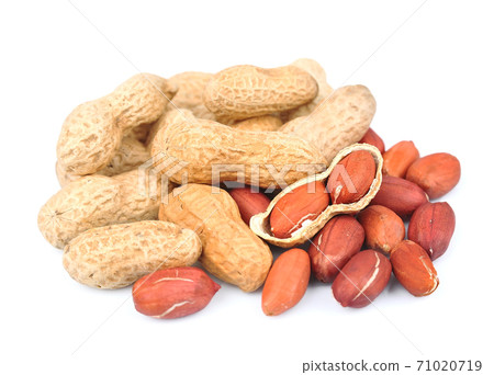 Peanuts nuts isolated on white backgrounds. Peanuts nuts isolated on white backgrounds. 71020719