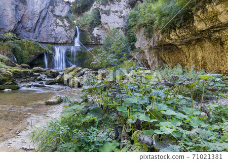 Claude Roy jump or Cascade de la Billaude, Jura 71021381