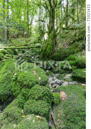 Hiking track of the Pertes de L'Ain, Losses of the Ain, Jura Hiking track of the Pertes de L'Ain, Losses of the Ain, Jura 71021415