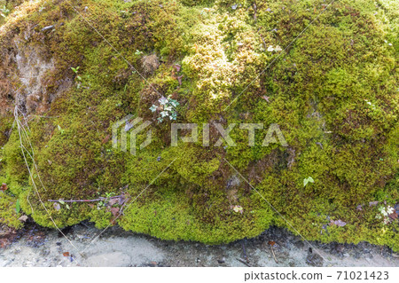 Hiking track of the Pertes de L'Ain, Losses of the Ain, Jura 71021423