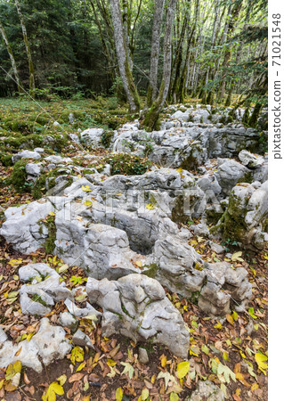 The karstic trail of Malrochers from Jura, France 71021548