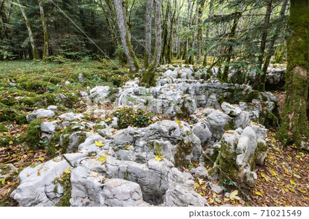 The karstic trail of Malrochers from Jura, France 71021549