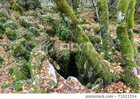 The karstic trail of Malrochers from Jura, France The karstic trail of Malrochers from Jura, France 71021554