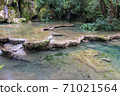 Jura Tufs waterfall, with its spectacle limestone sculptures 71021564