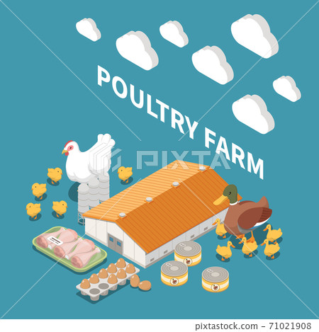 Poultry Farm Isometric Composition 71021908