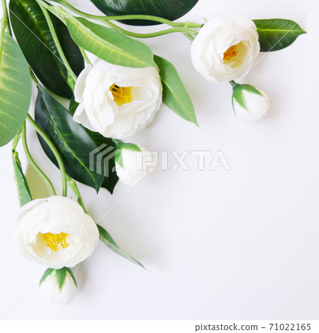 White artificial flowers on a white background. 71022165