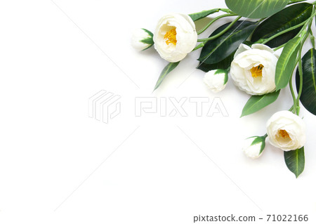 White artificial flowers on a white background. 71022166