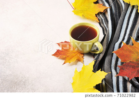 autumn tea party - a Cup of tea 71022982