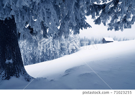 Snow in the mountain valley 71023255