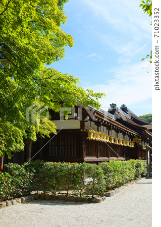 Shimogamo Shrine 71023352