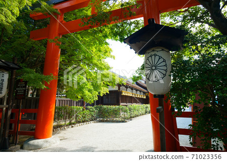 Shimogamo Shinto shrine Torii Shimogamo Shinto shrine Torii 71023356