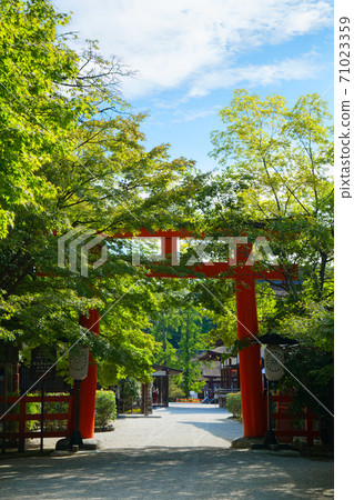 Shimogamo Shinto shrine Torii 71023359
