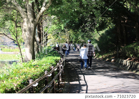 我在陽光燦爛的日子裡走在三池公園 我在陽光燦爛的日子裡走在三池公園 71023720