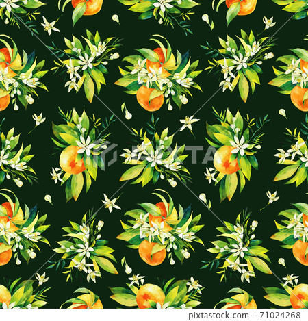 Seamless watercolour citrus fruits and leaves pattern. Green leaves and orange fruits on dark background. Seamless mandarin and oranges watercolour illustration Seamless watercolour citrus fruits and leaves pattern. Green leaves and orange fruits on dark background. Seamless mandarin and oranges watercolour illustration 71024268