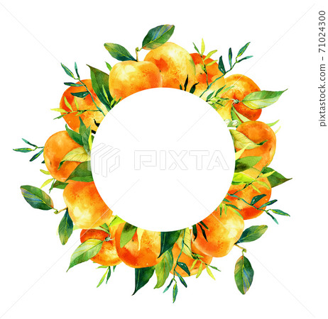 Beautiful frame composition made of hand drawn watercolour citrus fruits leaves and flowers. Beautiful frame composition made of hand drawn watercolour citrus fruits leaves and flowers. 71024300