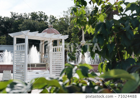 white wooden swing near the fountain 71024488