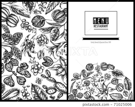 Menu cover floral design with black and white ficus, iresine, kalanchoe, calathea, guzmania, cactus Menu cover floral design with black and white ficus, iresine, kalanchoe, calathea, guzmania, cactus 71025006
