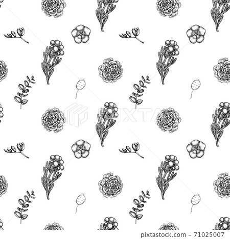 Seamless pattern with black and white ficus, eucalyptus, peony, cotton, freesia, brunia Seamless pattern with black and white ficus, eucalyptus, peony, cotton, freesia, brunia 71025007