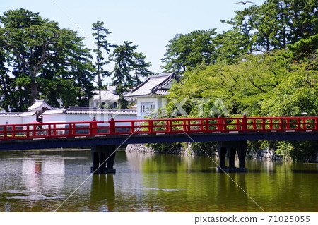 Odawara Castle Gakubashi August 2018 Odawara City, Kanagawa Prefecture 71025055