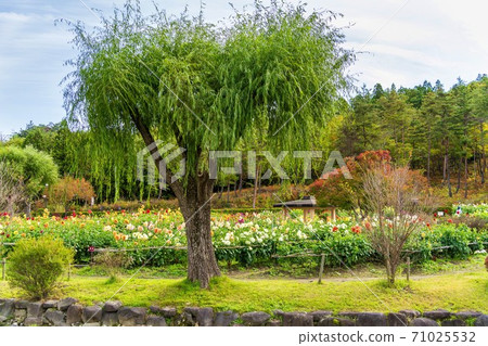 山形縣川西町大花iya 71025532