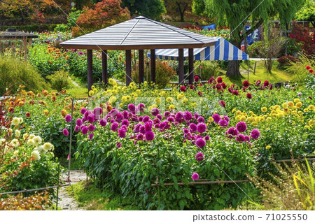 山形縣川西町大花iya 山形縣川西町大花iya 71025550