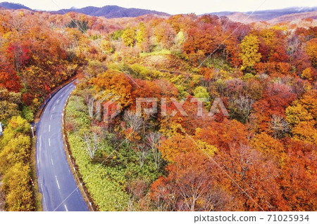 雨後的湯濱Pass口秋葉無人機拍攝宮城縣栗原市 雨後的湯濱Pass口秋葉無人機拍攝宮城縣栗原市 71025934