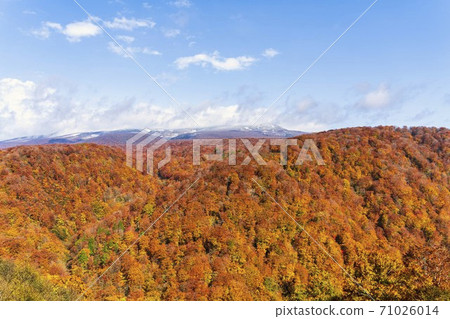 Yunohama Pass after the rain Autumn leaves and Mt. Kurikoma, Kurihara City, Miyagi Prefecture 71026014