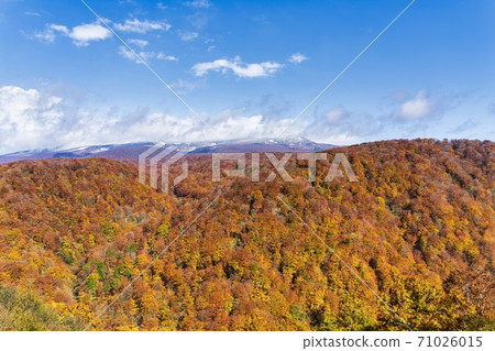 Yunohama Pass after the rain Autumn leaves and Mt. Kurikoma, Kurihara City, Miyagi Prefecture Yunohama Pass after the rain Autumn leaves and Mt. Kurikoma, Kurihara City, Miyagi Prefecture 71026015