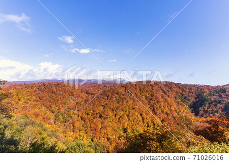 Yunohama Pass after the rain Autumn leaves and Mt. Kurikoma, Kurihara City, Miyagi Prefecture Yunohama Pass after the rain Autumn leaves and Mt. Kurikoma, Kurihara City, Miyagi Prefecture 71026016