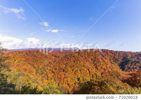 Yunohama Pass after the rain Autumn leaves and Mt. Kurikoma, Kurihara City, Miyagi Prefecture Yunohama Pass after the rain Autumn leaves and Mt. Kurikoma, Kurihara City, Miyagi Prefecture 71026018