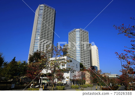 October Setagaya 344 Futakotamagawa Buildings / Futakotamagawa Koen-dori 71026388