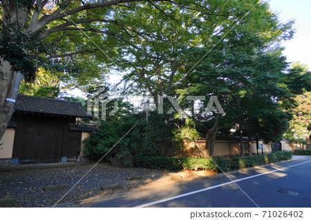 October Setagaya 333 Gotoh Museum 71026402