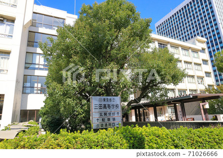 Mita High School_Minato Ward_Tokyo Metropolitan Government 71026666