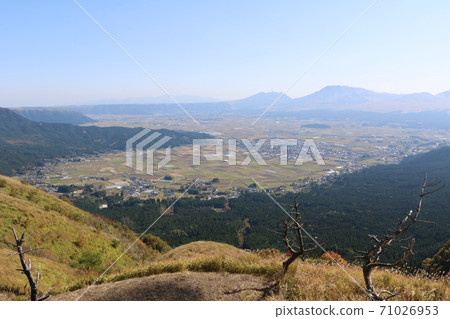 scenery scenery 71026953