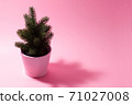 Small decorative Christmas tree on a pink background. 71027008