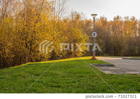 Road sign near a lantern on a background of an autumn yellow forest with the number pa, autumn meadow, green grass bright sunlight asphalt road in the shade Road sign near a lantern on a background of an autumn yellow forest with the number pa, autumn meadow, green grass bright sunlight asphalt road in the shade 71027321