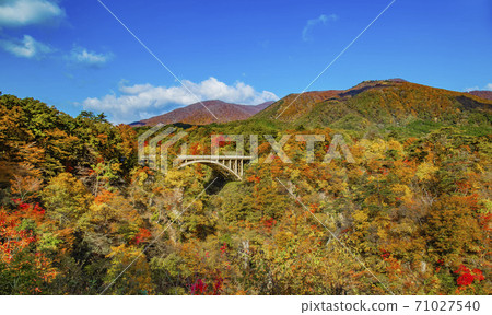 Autumn leaves of Naruko Gorge, Miyagi Prefecture 71027540