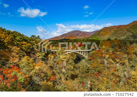 Autumn leaves of Naruko Gorge, Miyagi Prefecture 71027542
