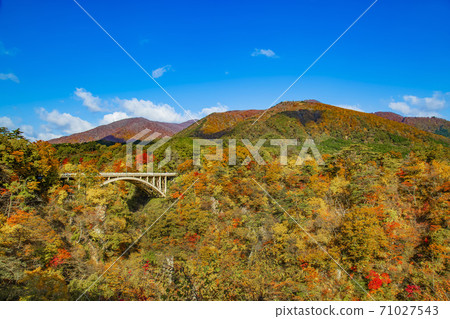 Autumn leaves of Naruko Gorge, Miyagi Prefecture 71027543