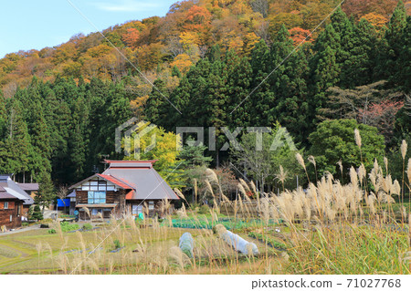 秋山鄉三浦村的未開發秋天 71027768