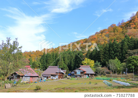 Unexplored autumn in Akiyamago Mikura village 71027788